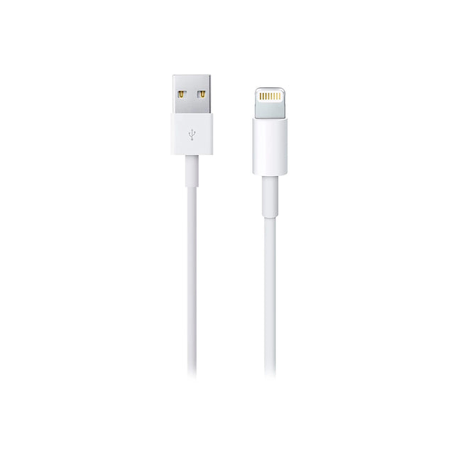 Cable Apple Lightning a USB 2.0 3.3ft