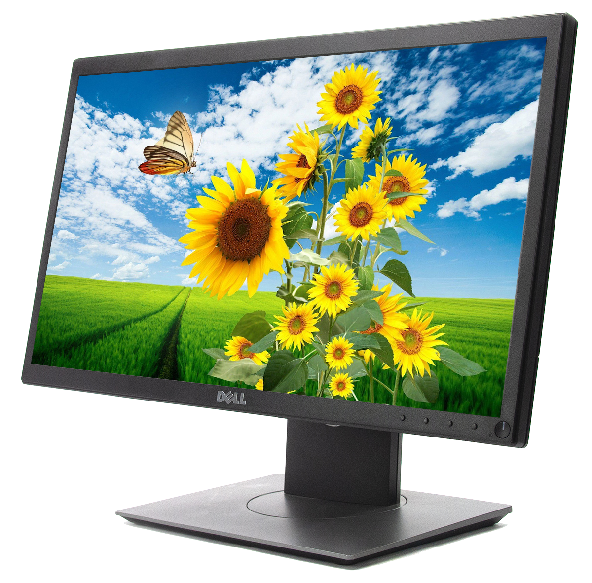 MONITOR P2018H LED 19.5" 1600x900 HDMI VGA DPort DELL